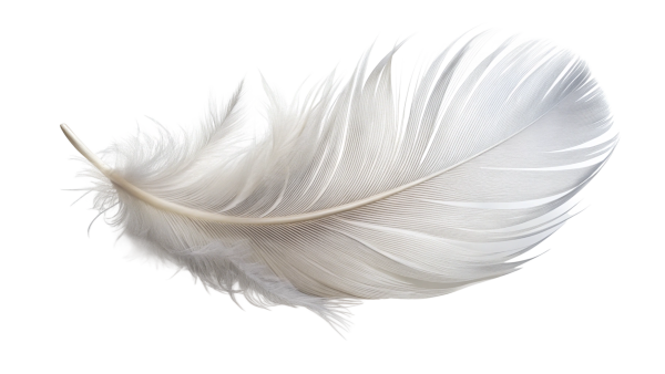 Piuma